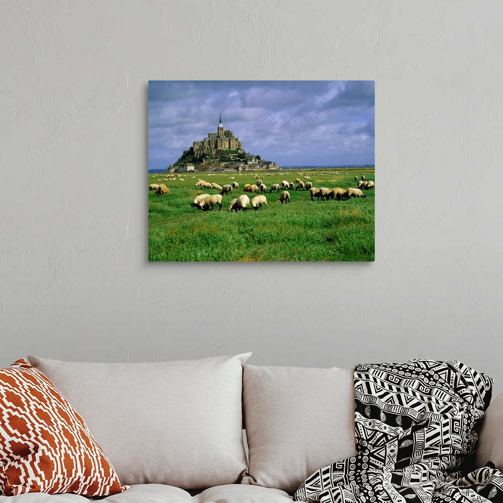 A bohemian room featuring France, Mont St. Michel, Manche, sheeps