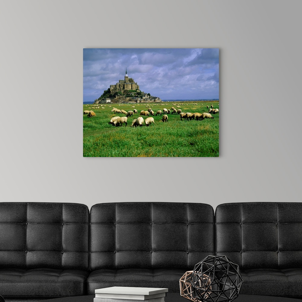 A modern room featuring France, Mont St. Michel, Manche, sheeps