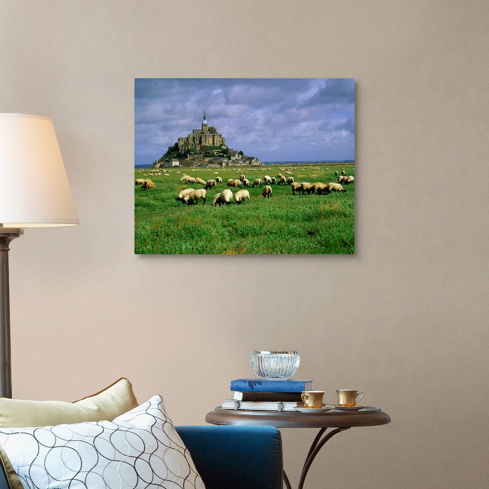 A traditional room featuring France, Mont St. Michel, Manche, sheeps