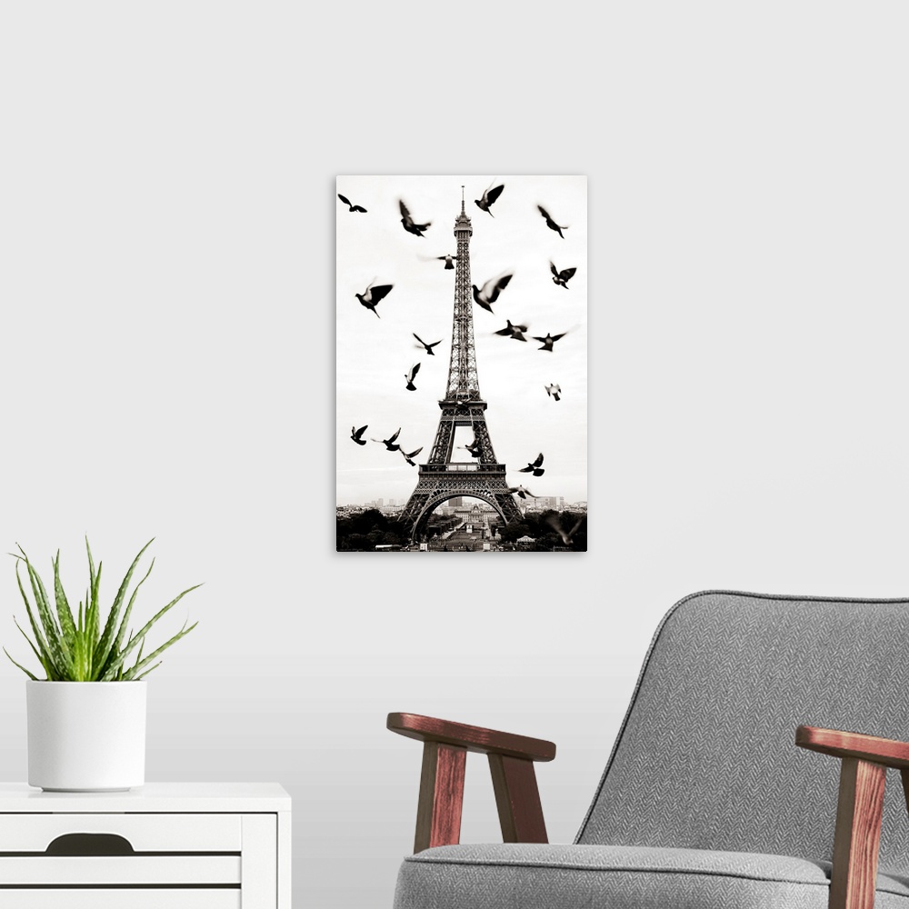 A modern room featuring France, Paris, Birds in front of the Eiffel Tower.