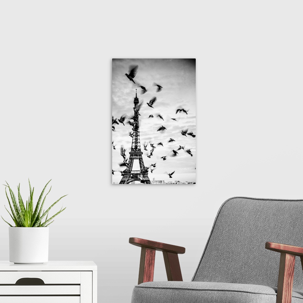 A modern room featuring France, Paris, Eiffel Tower, Birds in front of the Eiffel Tower.