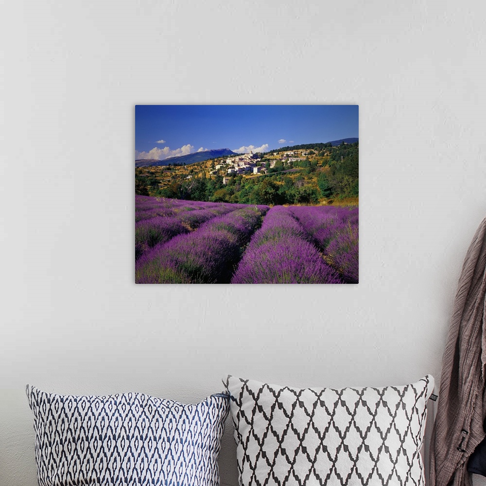 A bohemian room featuring France, Provence-Alpes-C..te d'Azur, Aurel, Lavender fields