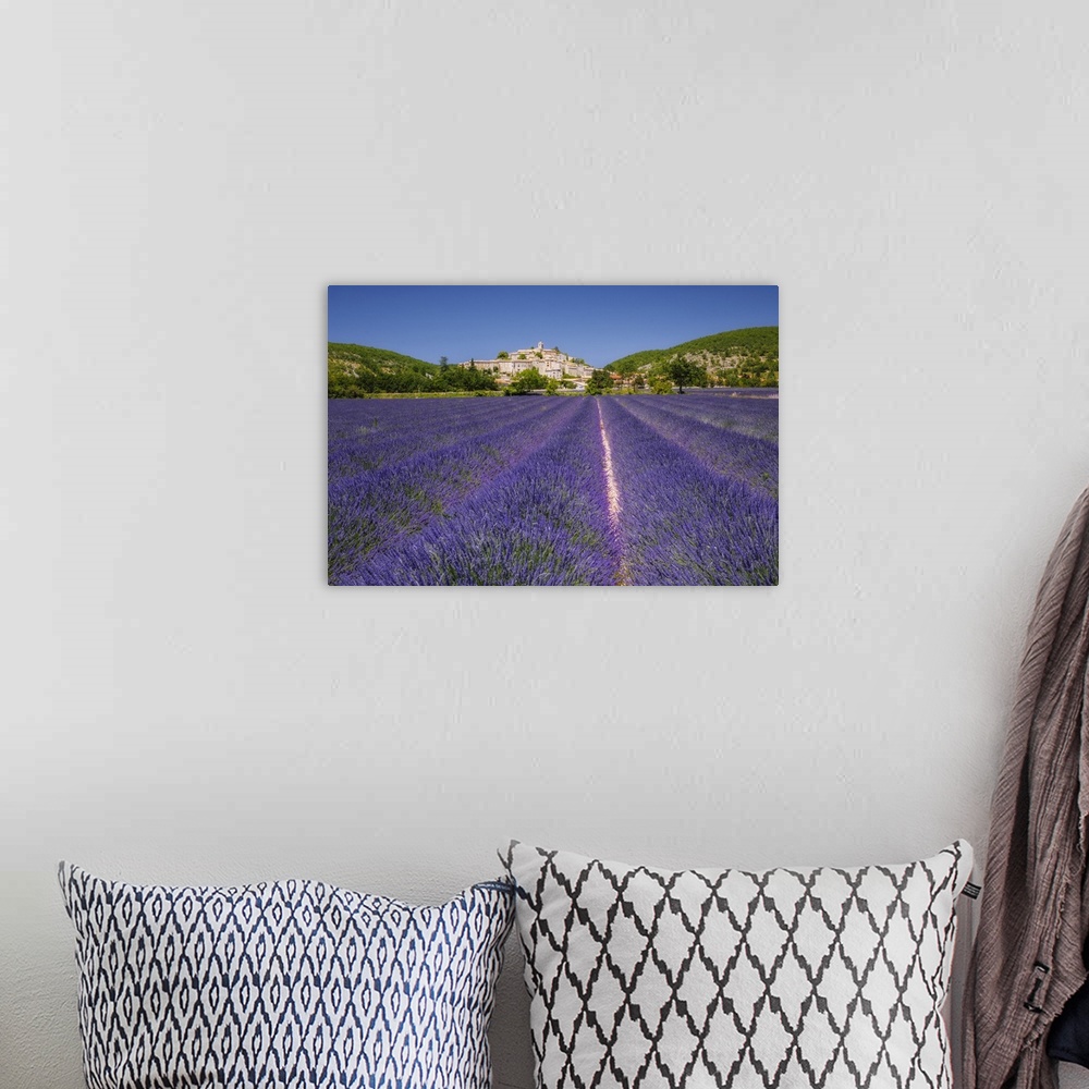 A bohemian room featuring France, Provence-Alpes-Cote d'Azur, Banon, Provence, Alpes-de-Haute-Provence, Field of lavender (...