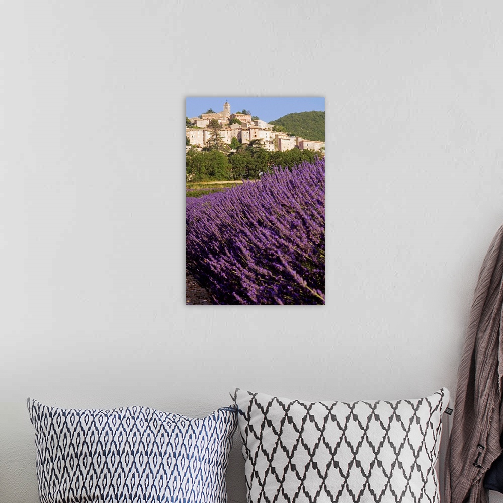 A bohemian room featuring France, Provence-Alpes-Cote d'Azur, Banon, Lavender field