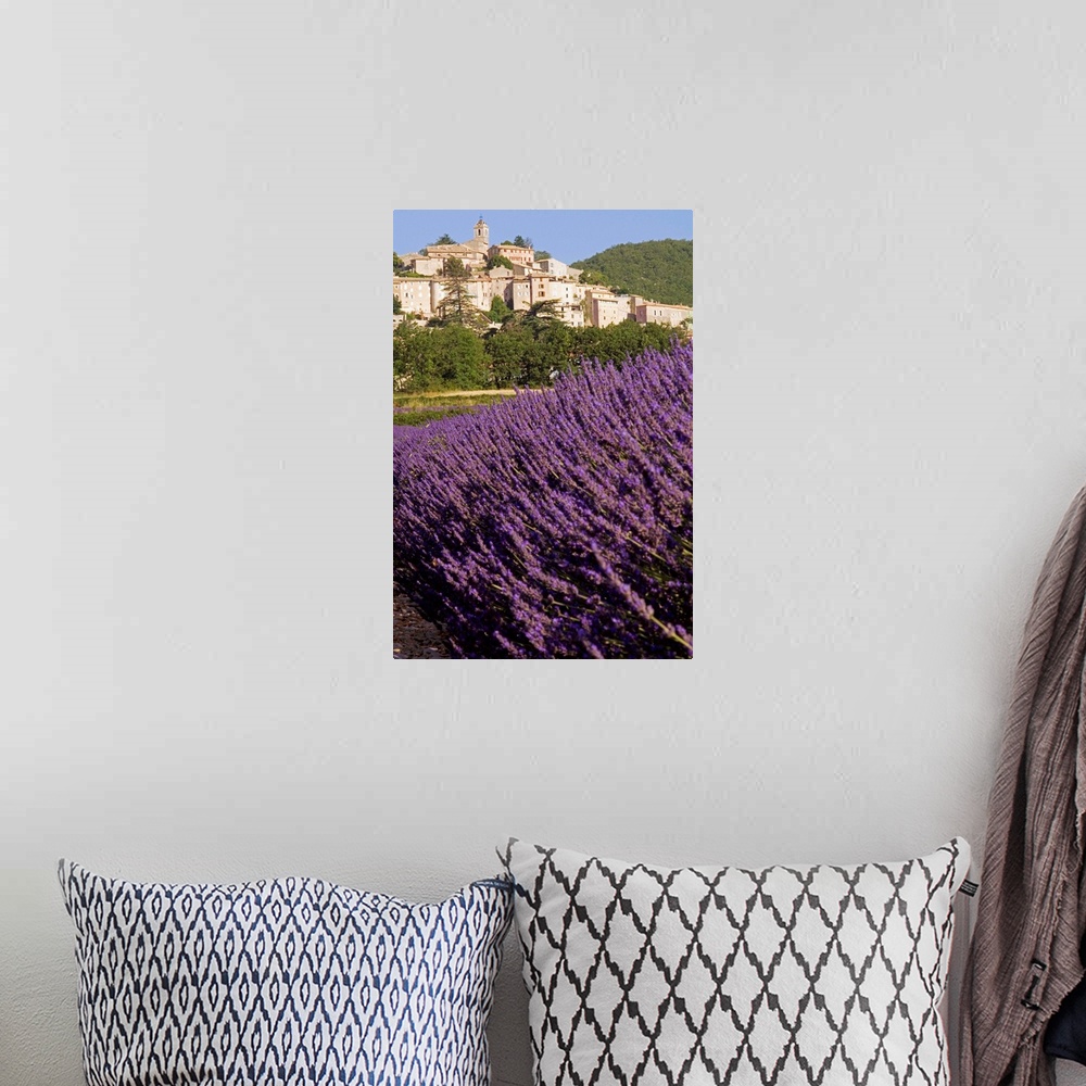A bohemian room featuring France, Provence-Alpes-Cote d'Azur, Banon, Lavender field