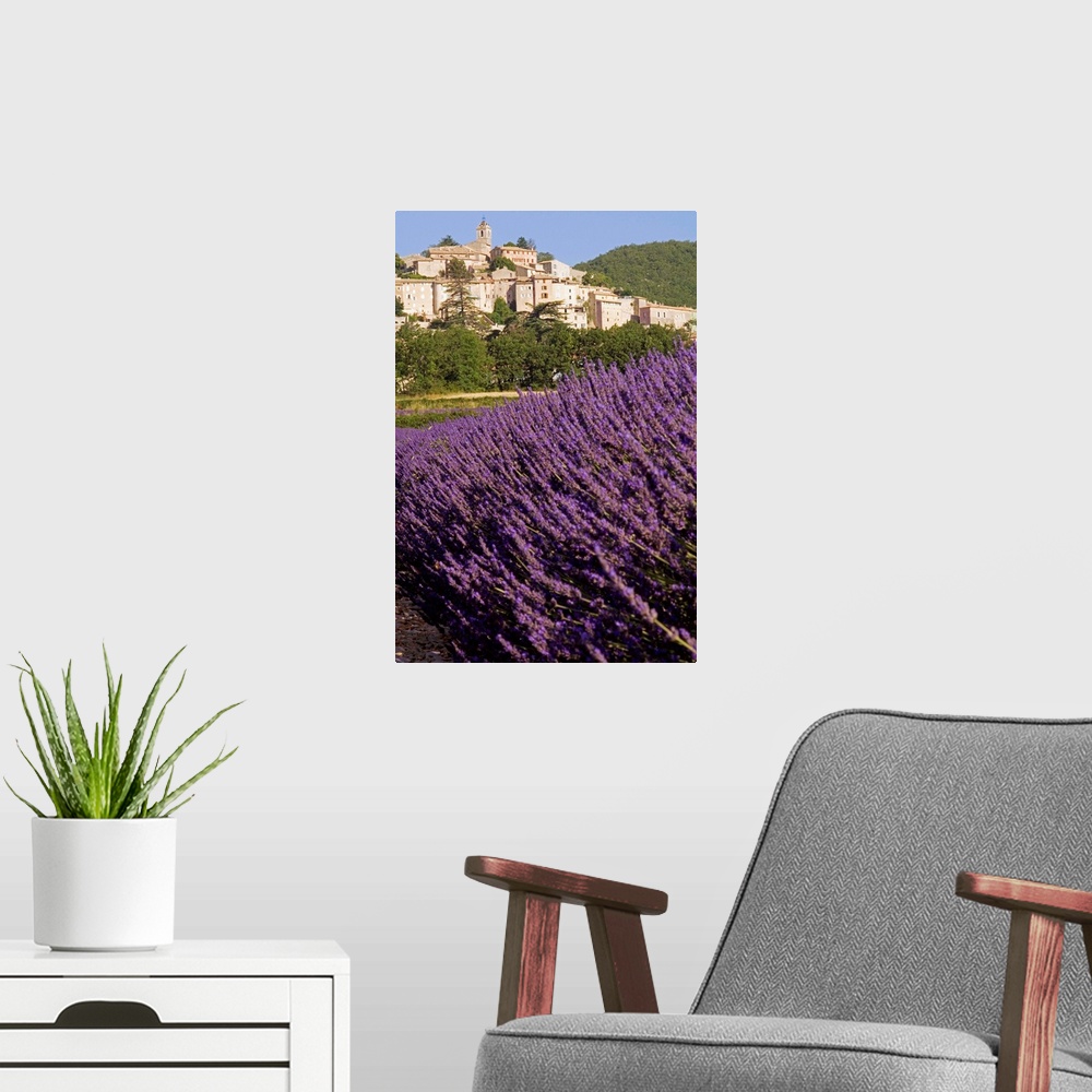 A modern room featuring France, Provence-Alpes-Cote d'Azur, Banon, Lavender field