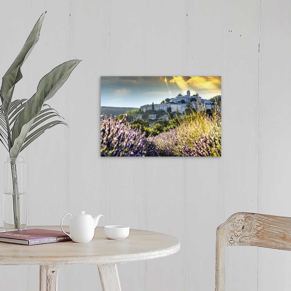 A farmhouse room featuring France, Provence-Alpes-Cote d'Azur, Provence, Banon, Lavender field near Valensole
