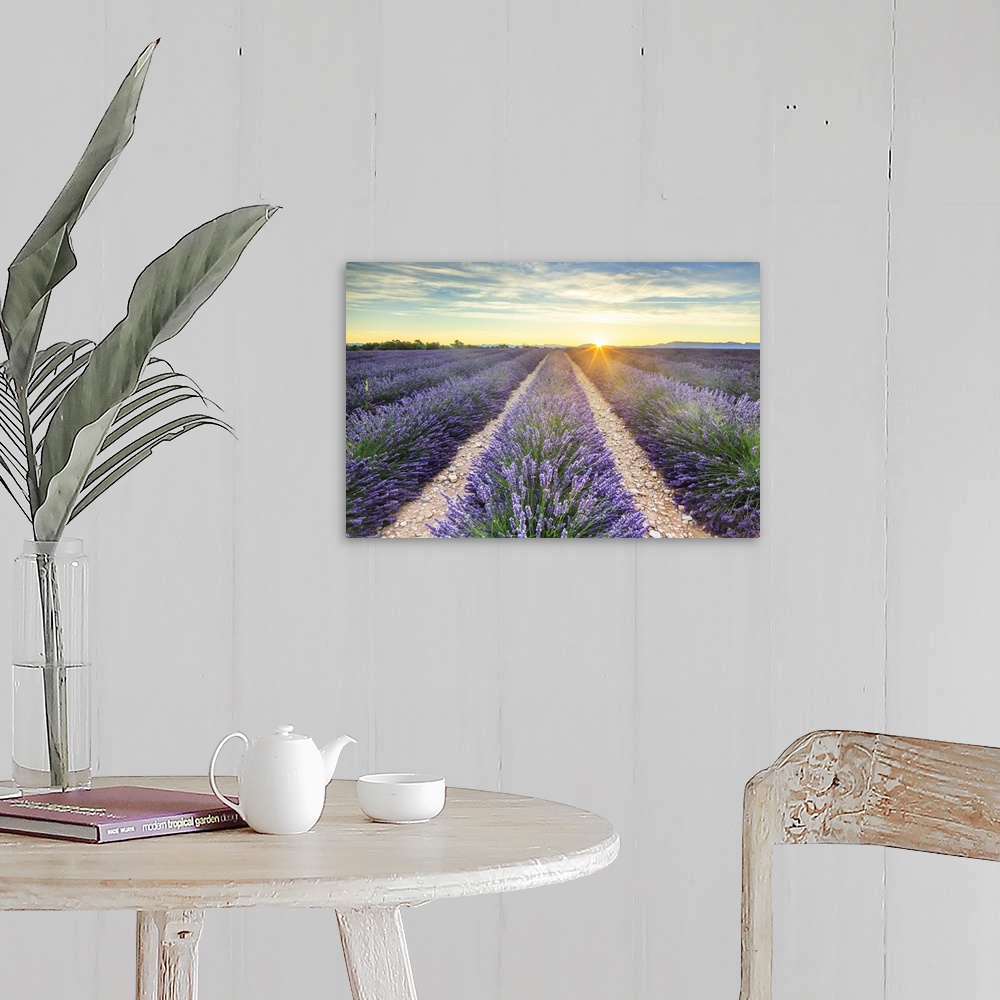 A farmhouse room featuring France, Provence-Alpes-Cote d'Azur, Provence, Valensole, Lavender field at sunset, near Valensole