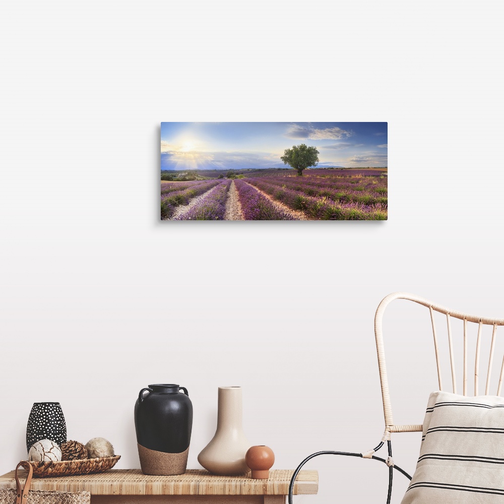 A farmhouse room featuring France, Provence-Alpes-Cote d'Azur, Provence, Valensole, Lavender fields near Valensole