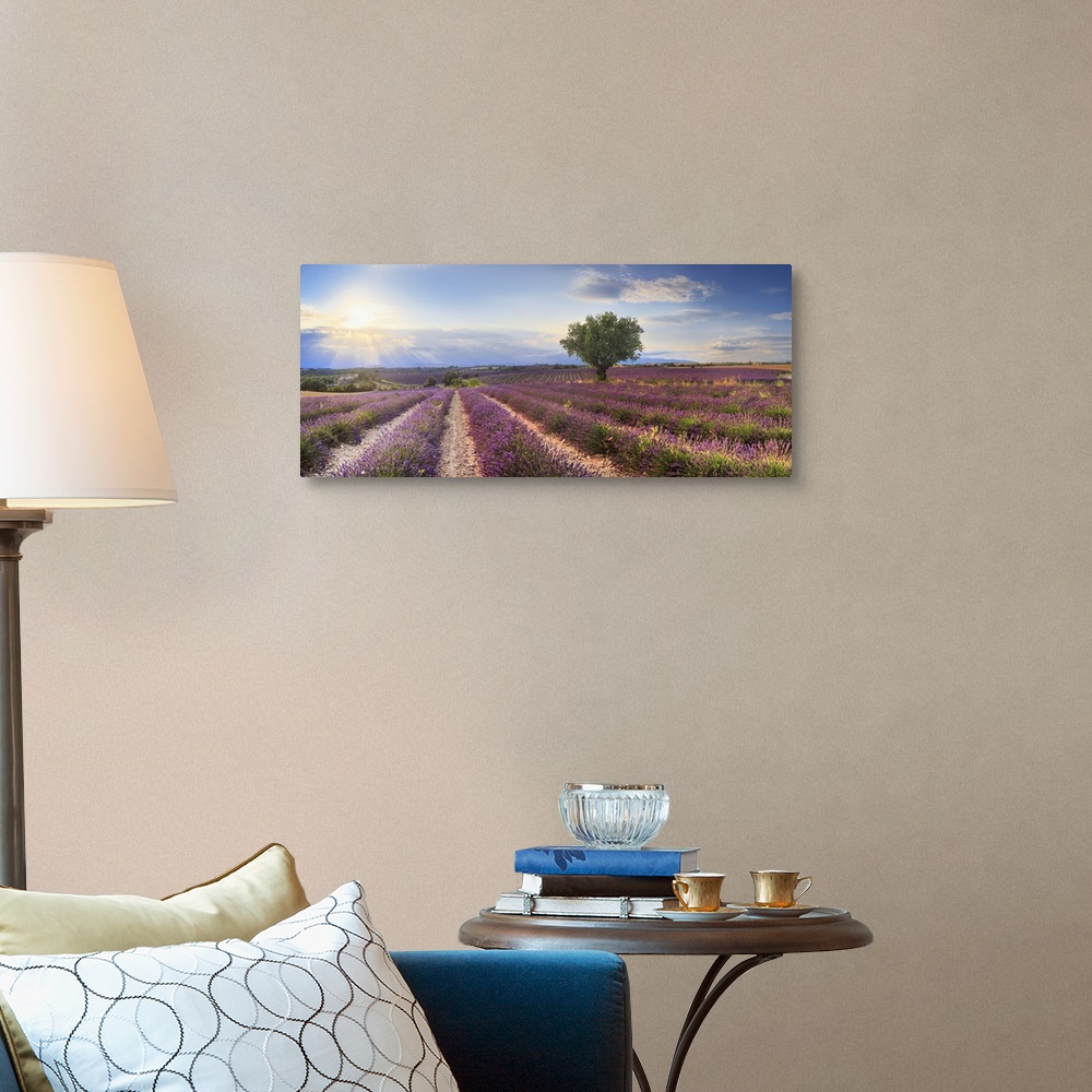 A traditional room featuring France, Provence-Alpes-Cote d'Azur, Provence, Valensole, Lavender fields near Valensole