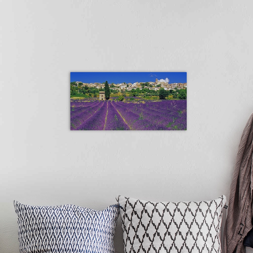 A bohemian room featuring France, Provence-Alpes-C..te d'Azur, Puimosson, Lavender field