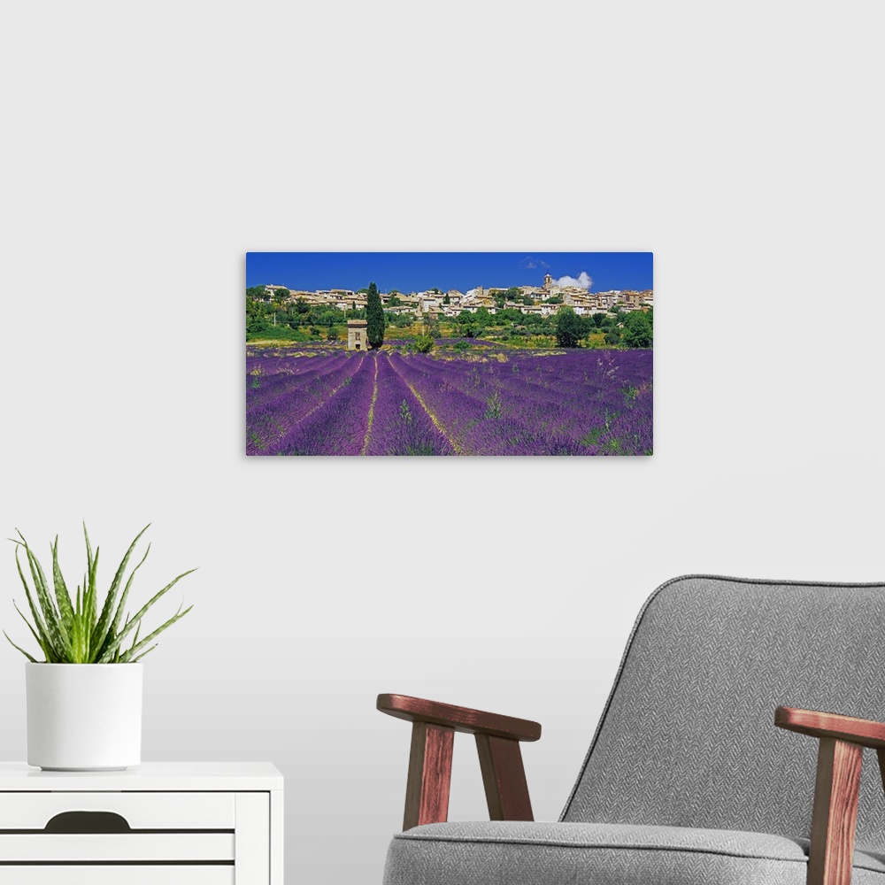 A modern room featuring France, Provence-Alpes-C..te d'Azur, Puimosson, Lavender field