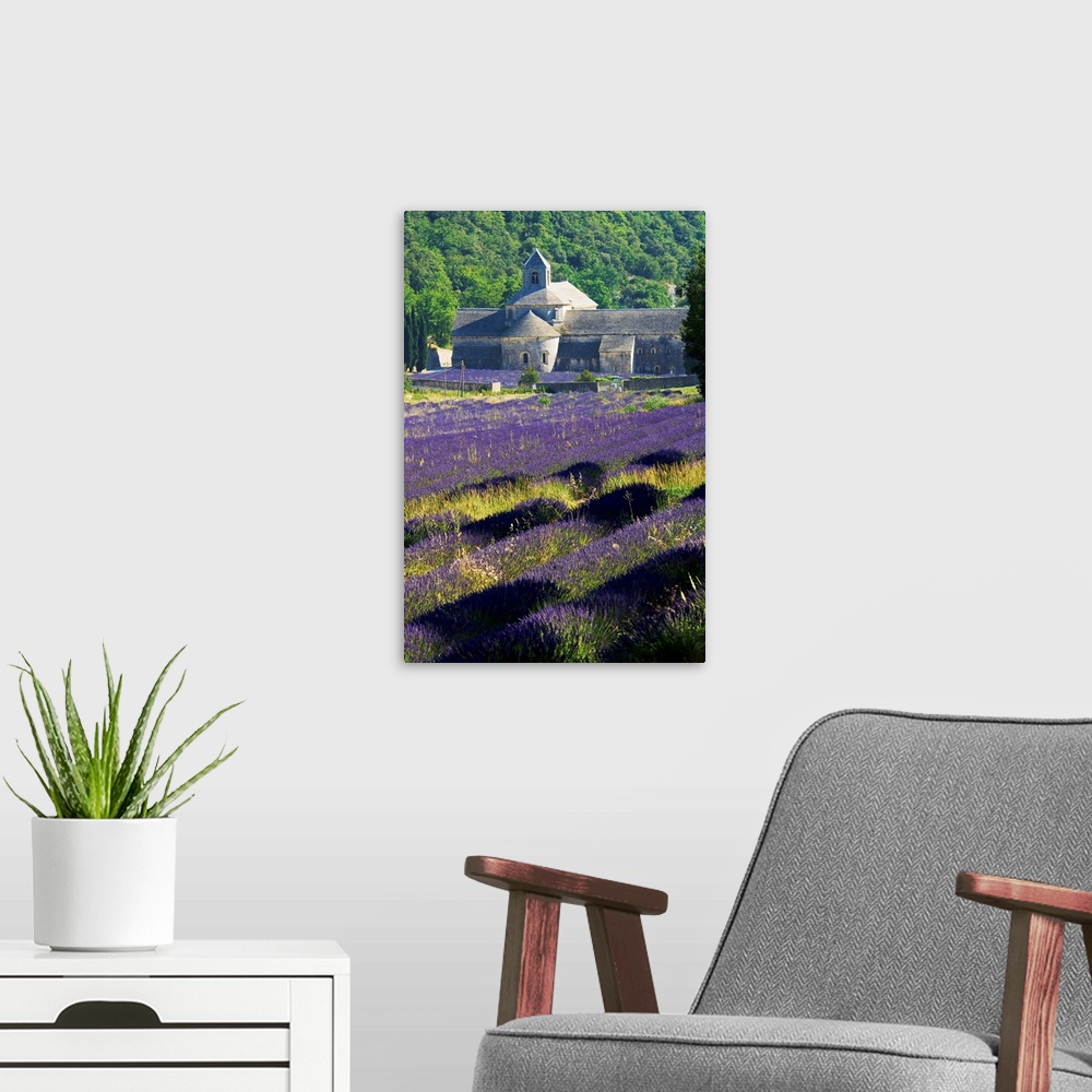 A modern room featuring France, Provence-Alpes-Cote d'Azur, The Abbey with lavender fields