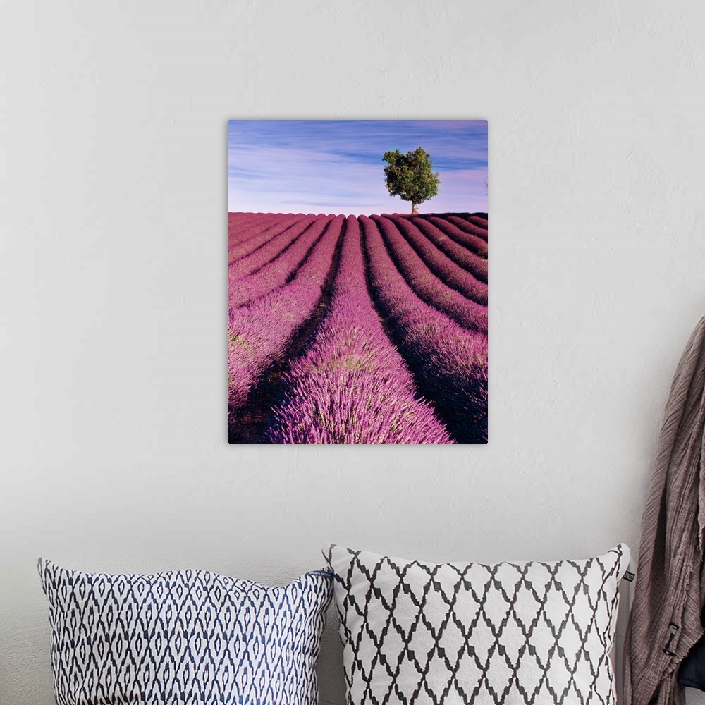 A bohemian room featuring France, Provence-Alpes-C..te d'Azur, Valensole, Lavender fields
