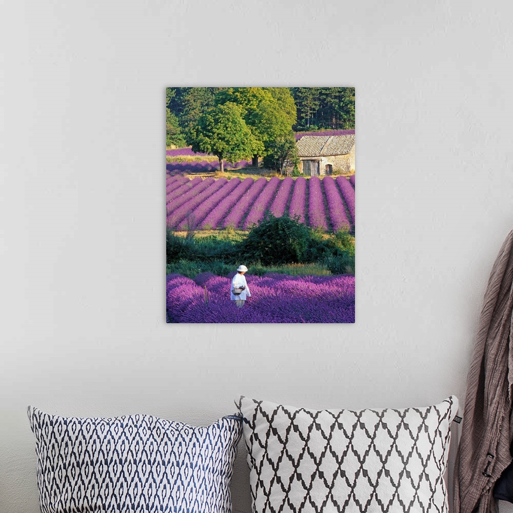 A bohemian room featuring France, Provence, woman in lavender field