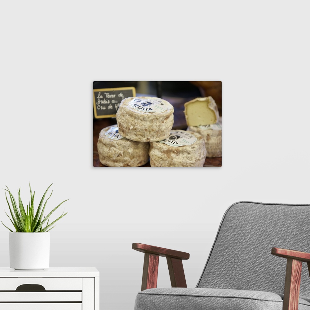 A modern room featuring France, Vaucluse, cheese in the market