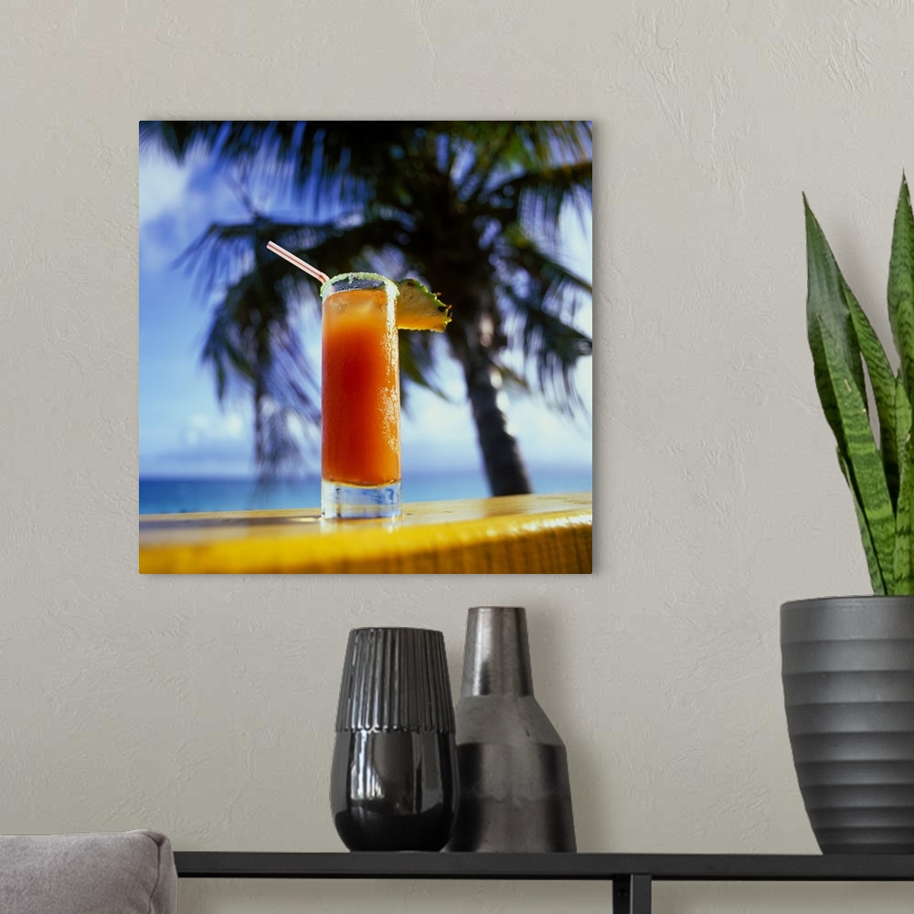 A modern room featuring French Antilles, French West Indies, Guadeloupe, Caribbean, Caribs, Drink