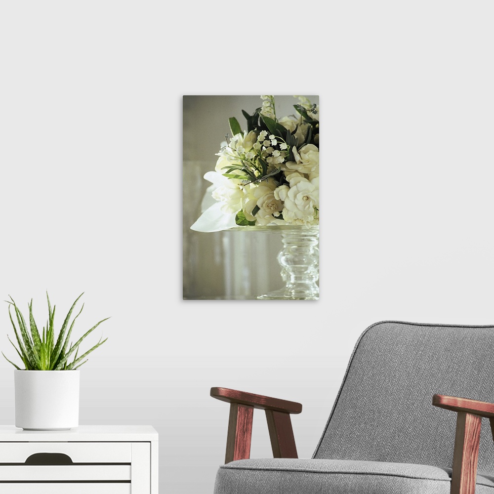 A modern room featuring Gardenia