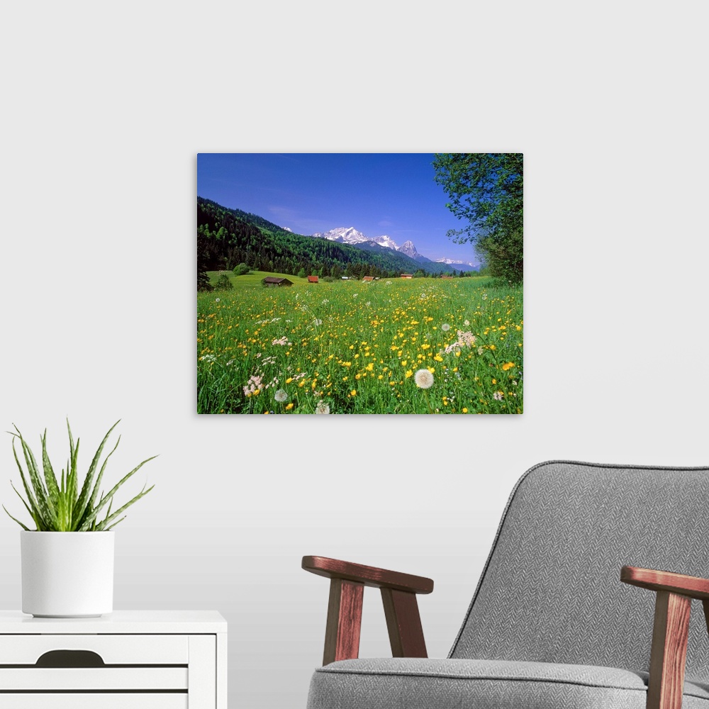 A modern room featuring Germany, Bavaria, Oberbayern, meadow and Zugspitze mountain range in background