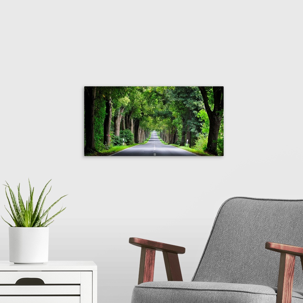 A modern room featuring Germany, Mecklenburg-Vorpommern, Road with linden trees.