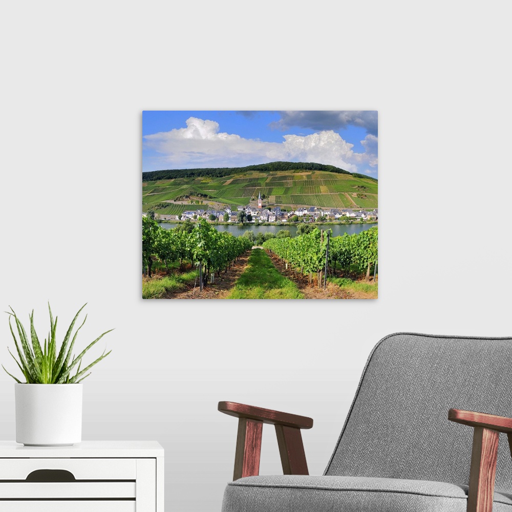 A modern room featuring Germany, Rhineland-Palatinate, Moselle Valley, Moselle Wine Route, Zell an der Mosel, Merl, typic...