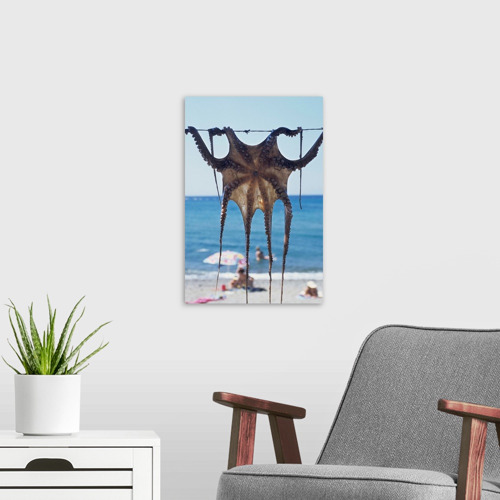 A modern room featuring Greece, Aegean Islands, Lesbos, Skala Eressos beach, octopus drying at the sun