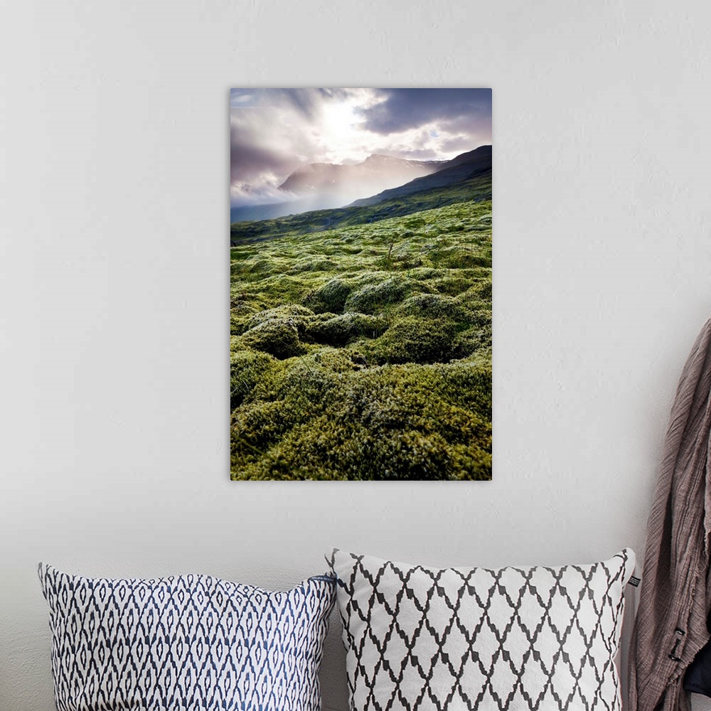 A bohemian room featuring Iceland, East Iceland, moss on the mountain near the Joklasel Lodge.