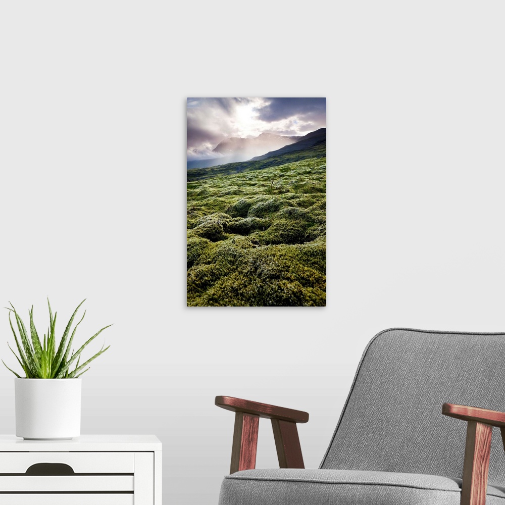 A modern room featuring Iceland, East Iceland, moss on the mountain near the Joklasel Lodge.