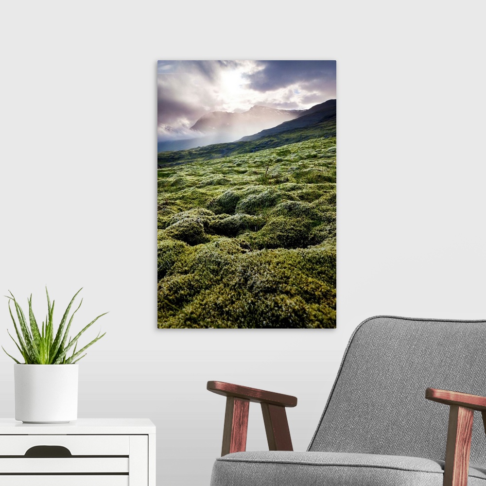 A modern room featuring Iceland, East Iceland, moss on the mountain near the Joklasel Lodge.