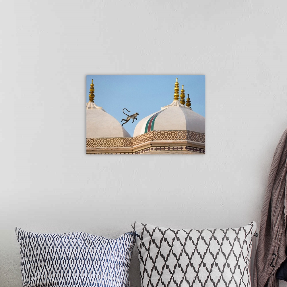 A bohemian room featuring India, Rajasthan, A monkey jumps across the rooftops of the fort.