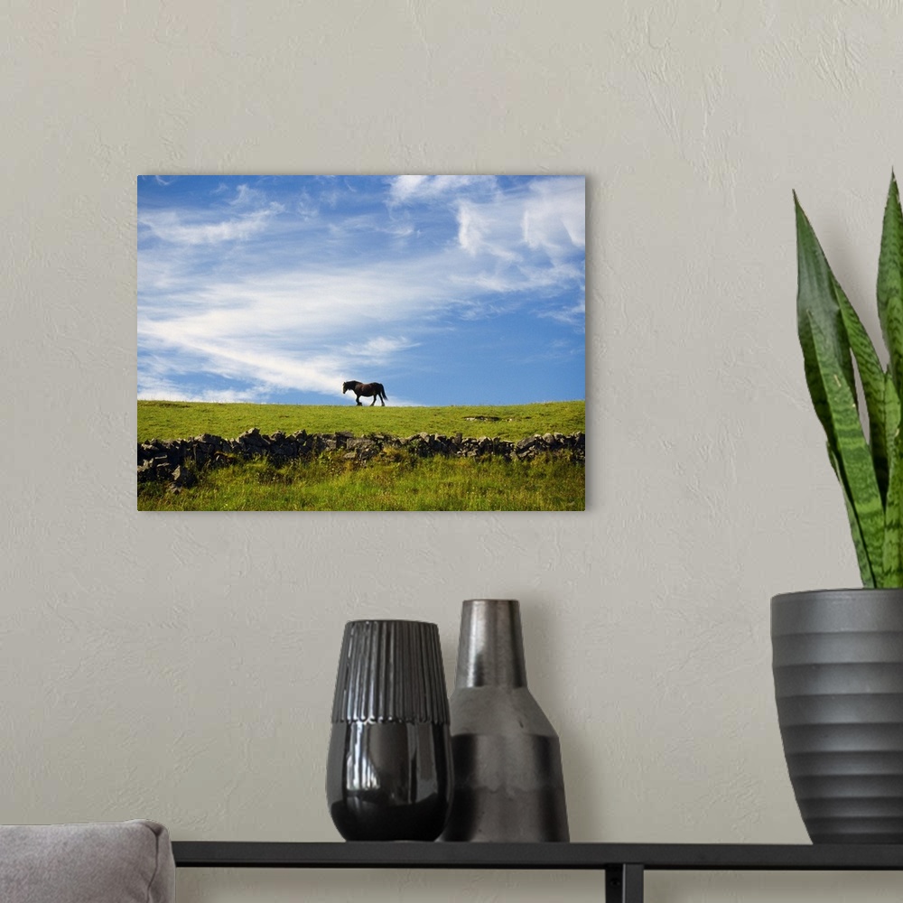 A modern room featuring Ireland, Aran, Inisheer, horse walking on hilltop in profile