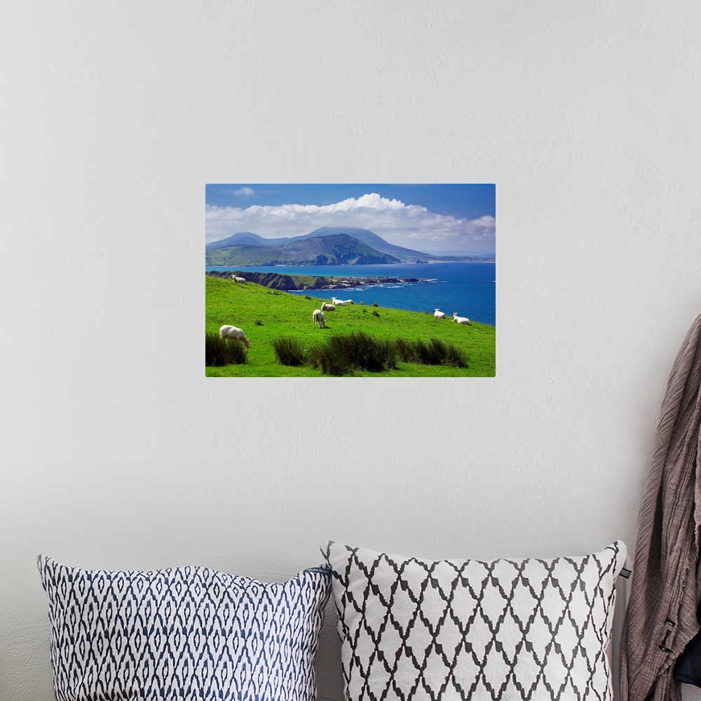 A bohemian room featuring Ireland, Donegal, Inishowen Peninsula, landscape near Pollan Bay