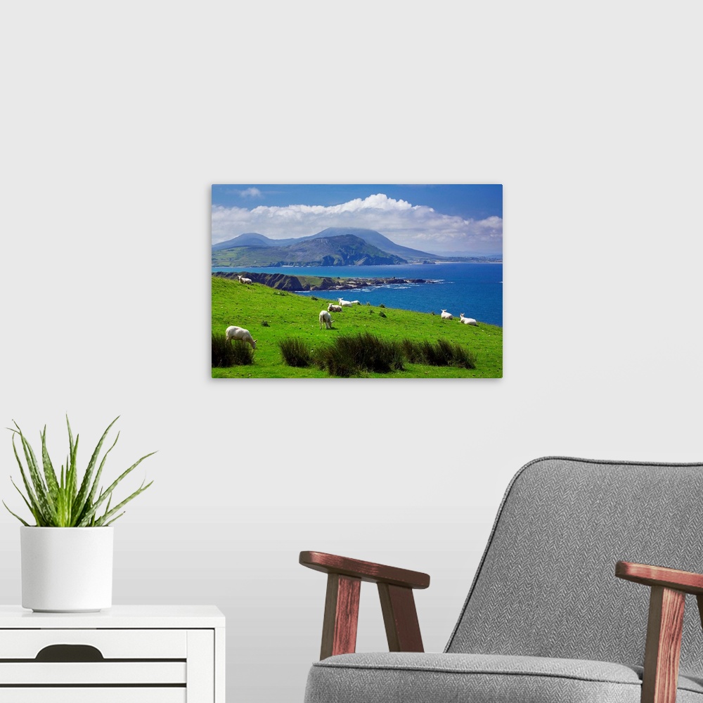 A modern room featuring Ireland, Donegal, Inishowen Peninsula, landscape near Pollan Bay