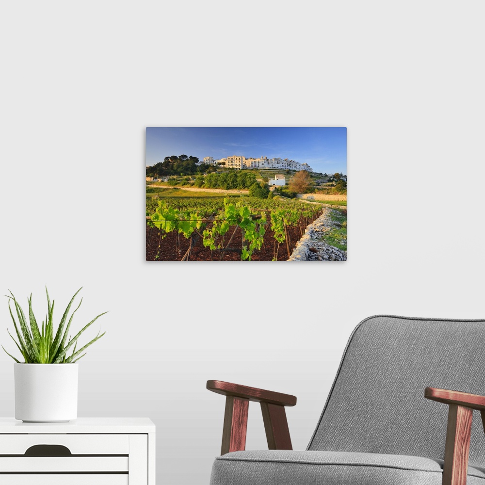 A modern room featuring Italy, Apulia, Bari district, Itria Valley, Locorotondo, View of white-washed village
