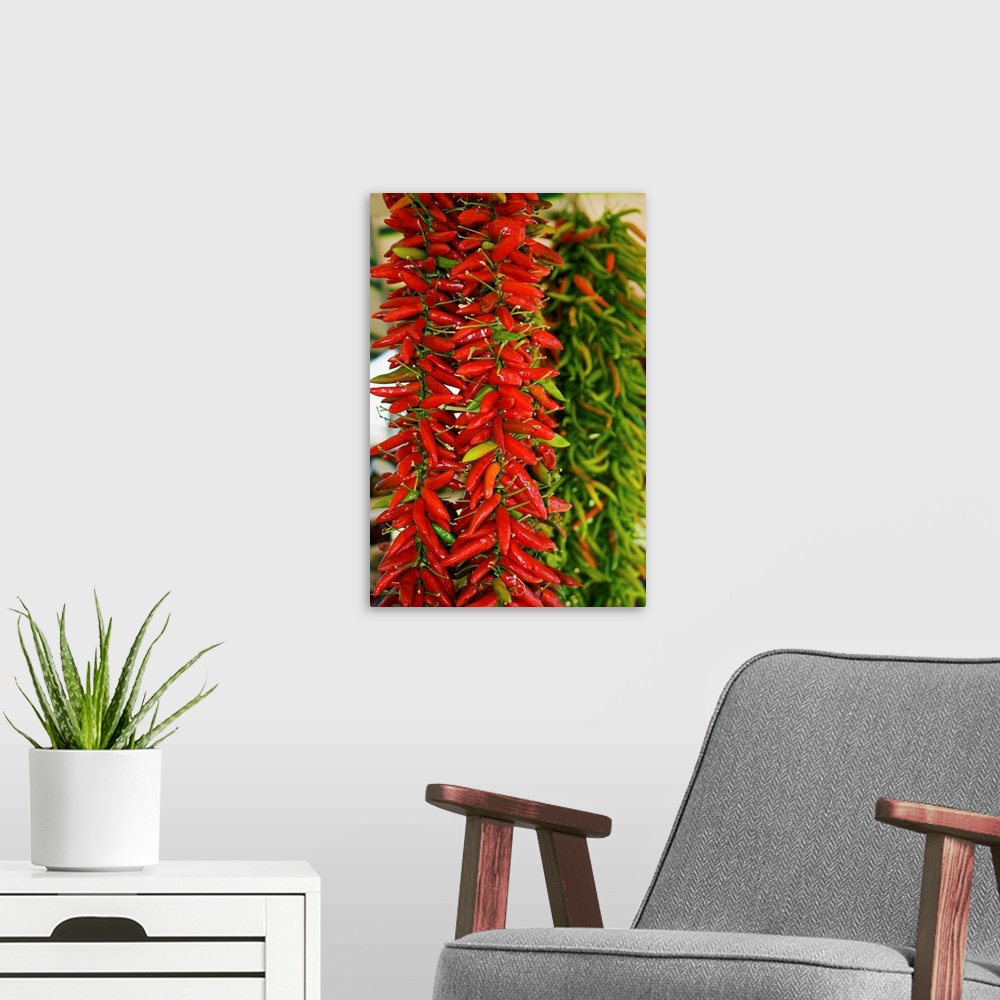A modern room featuring Italy, Calabria, Catanzaro, Hot peppers