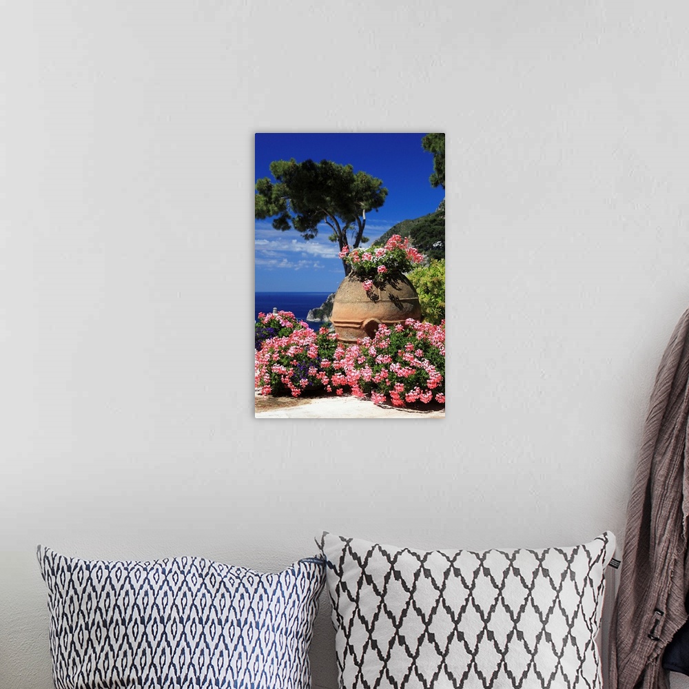 A bohemian room featuring Italy, Campania, Mediterranean sea, Tyrrhenian coast, Napoli district, Capri, Flowers