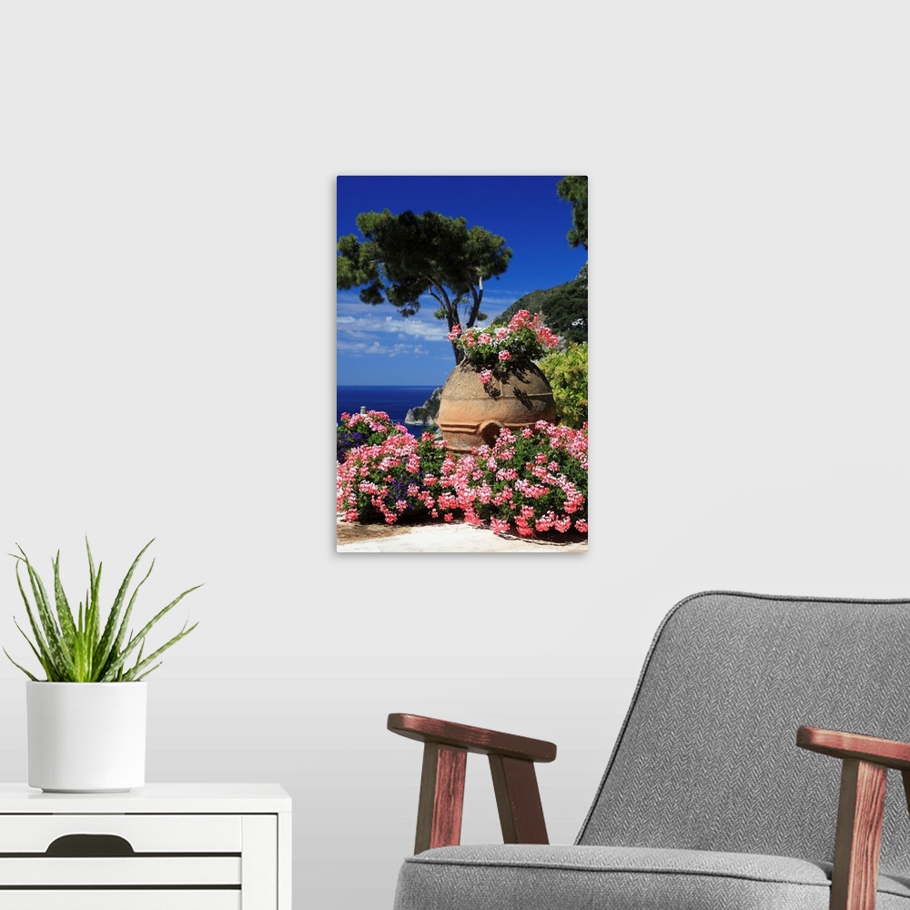 A modern room featuring Italy, Campania, Mediterranean sea, Tyrrhenian coast, Napoli district, Capri, Flowers