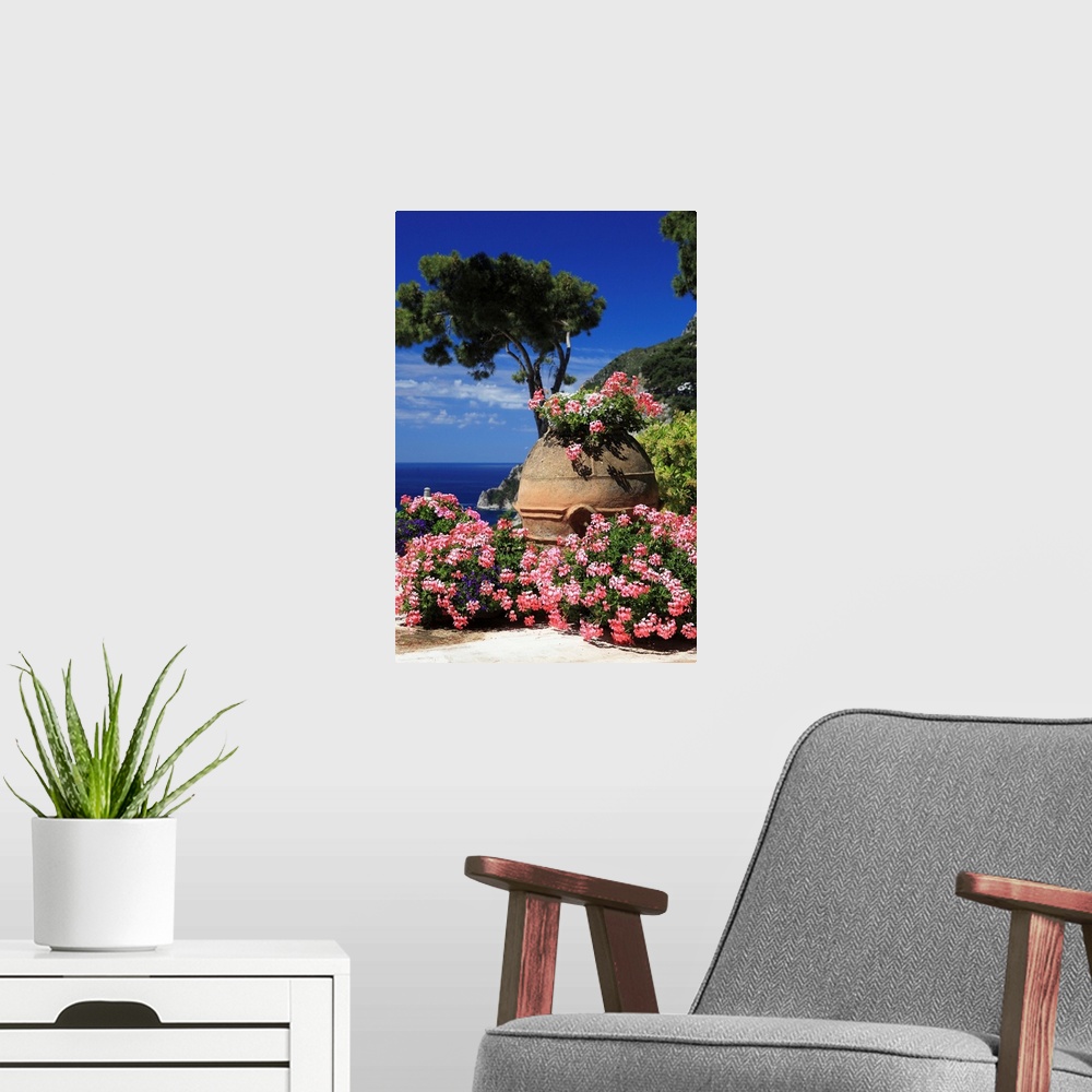 A modern room featuring Italy, Campania, Mediterranean sea, Tyrrhenian coast, Napoli district, Capri, Flowers