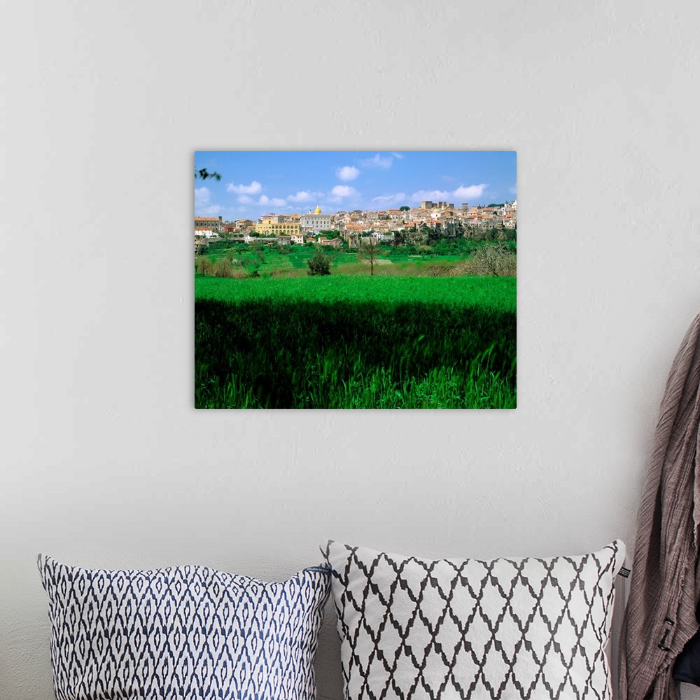 A bohemian room featuring Italy, Campania, Sessa Aurunca, view across field to town