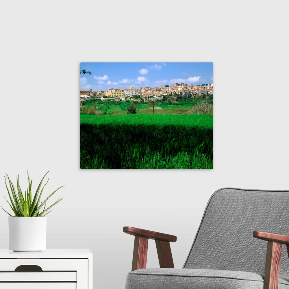 A modern room featuring Italy, Campania, Sessa Aurunca, view across field to town