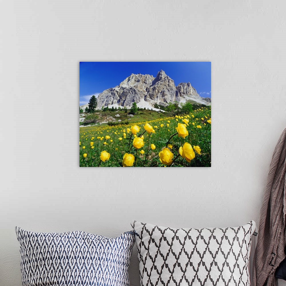 A bohemian room featuring Italy, Dolomites, Belluno, Passo Falzarego, spring blossom and Monte Lagazuoi