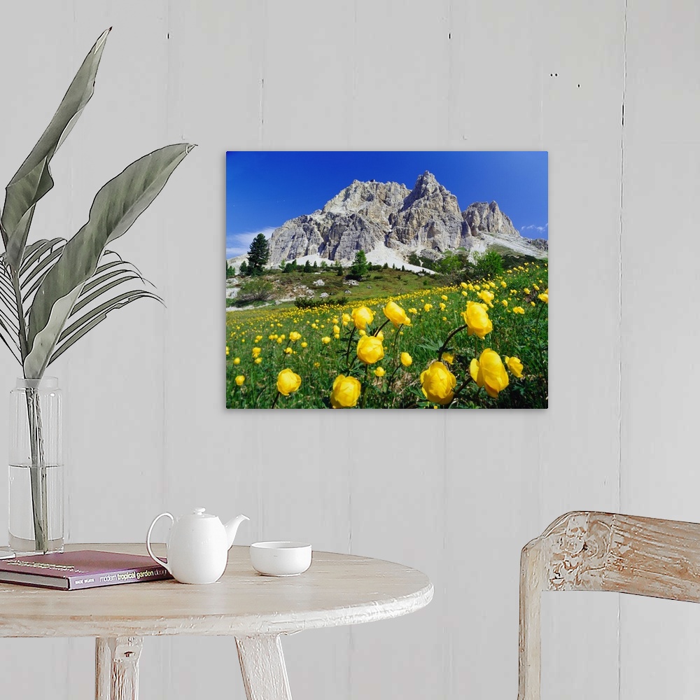 A farmhouse room featuring Italy, Dolomites, Belluno, Passo Falzarego, spring blossom and Monte Lagazuoi