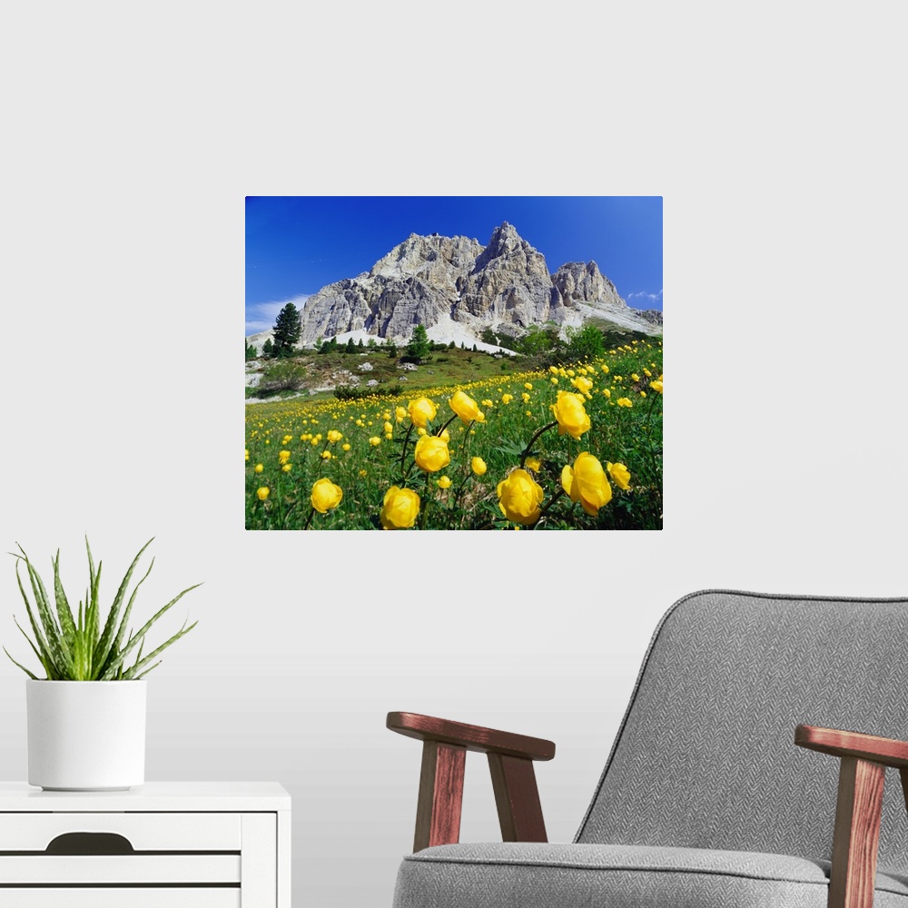 A modern room featuring Italy, Dolomites, Belluno, Passo Falzarego, spring blossom and Monte Lagazuoi