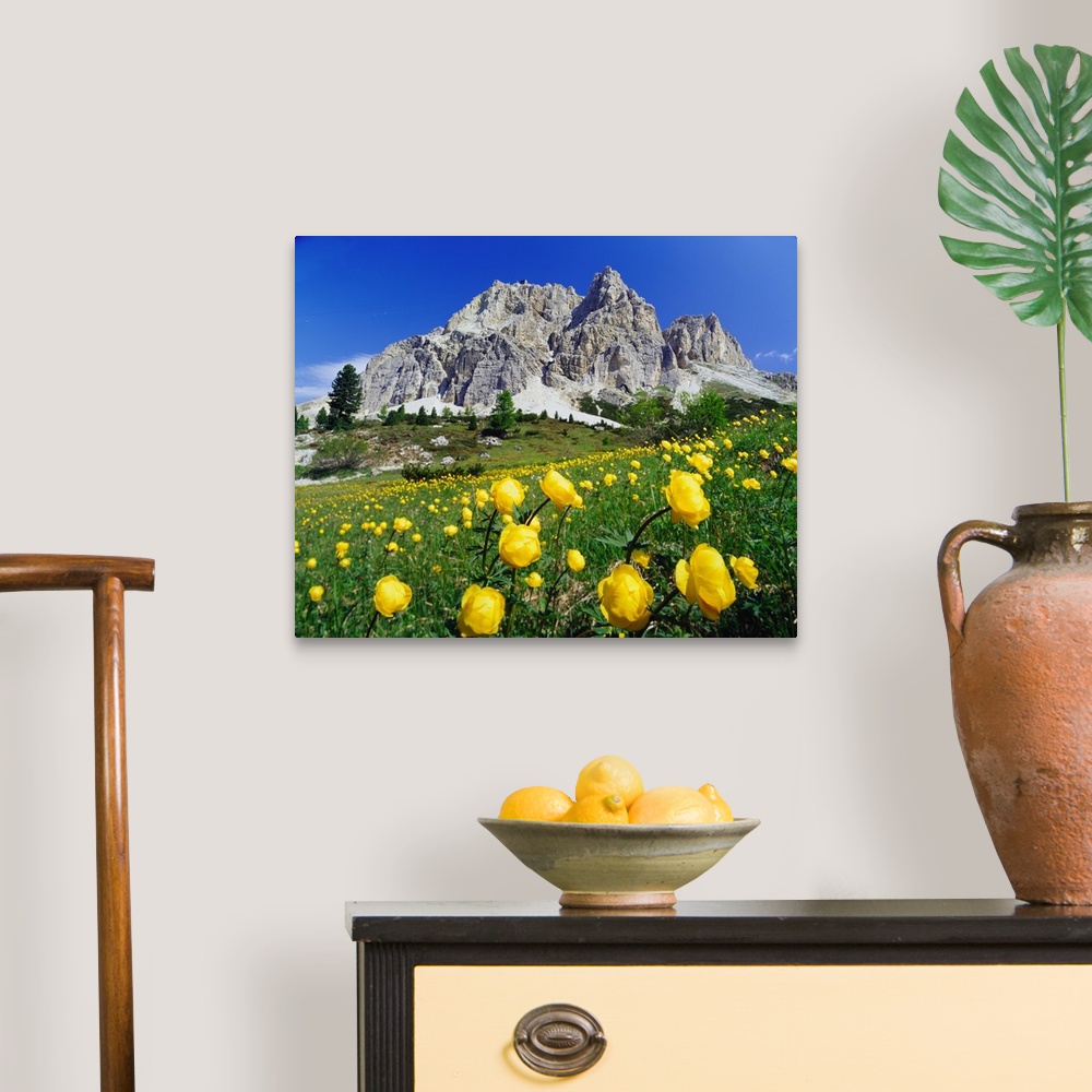A traditional room featuring Italy, Dolomites, Belluno, Passo Falzarego, spring blossom and Monte Lagazuoi