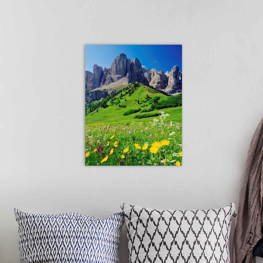 A bohemian room featuring Italy, Dolomites, Passo Gardena (Grodner Joch), alpine meadow towards Sella