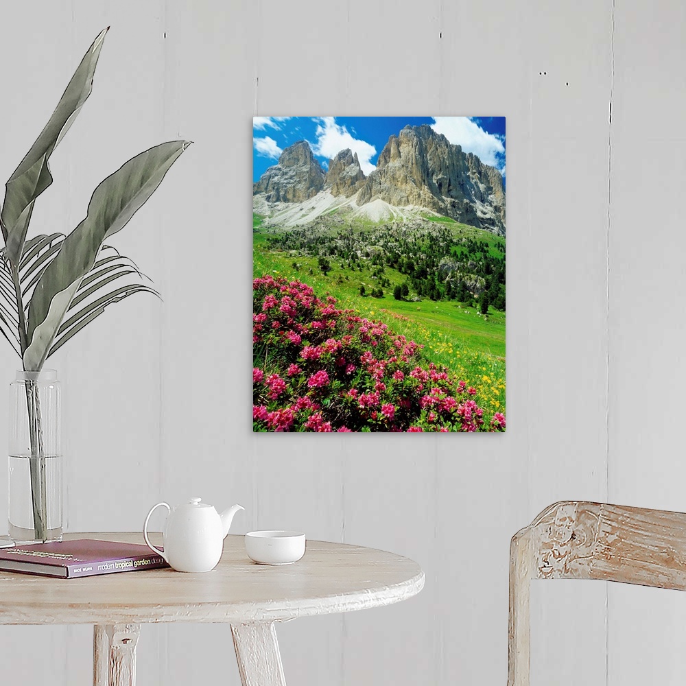A farmhouse room featuring Italy, Dolomites, Rhododendron Ferrugineum and Sassolungo (Langkofel)