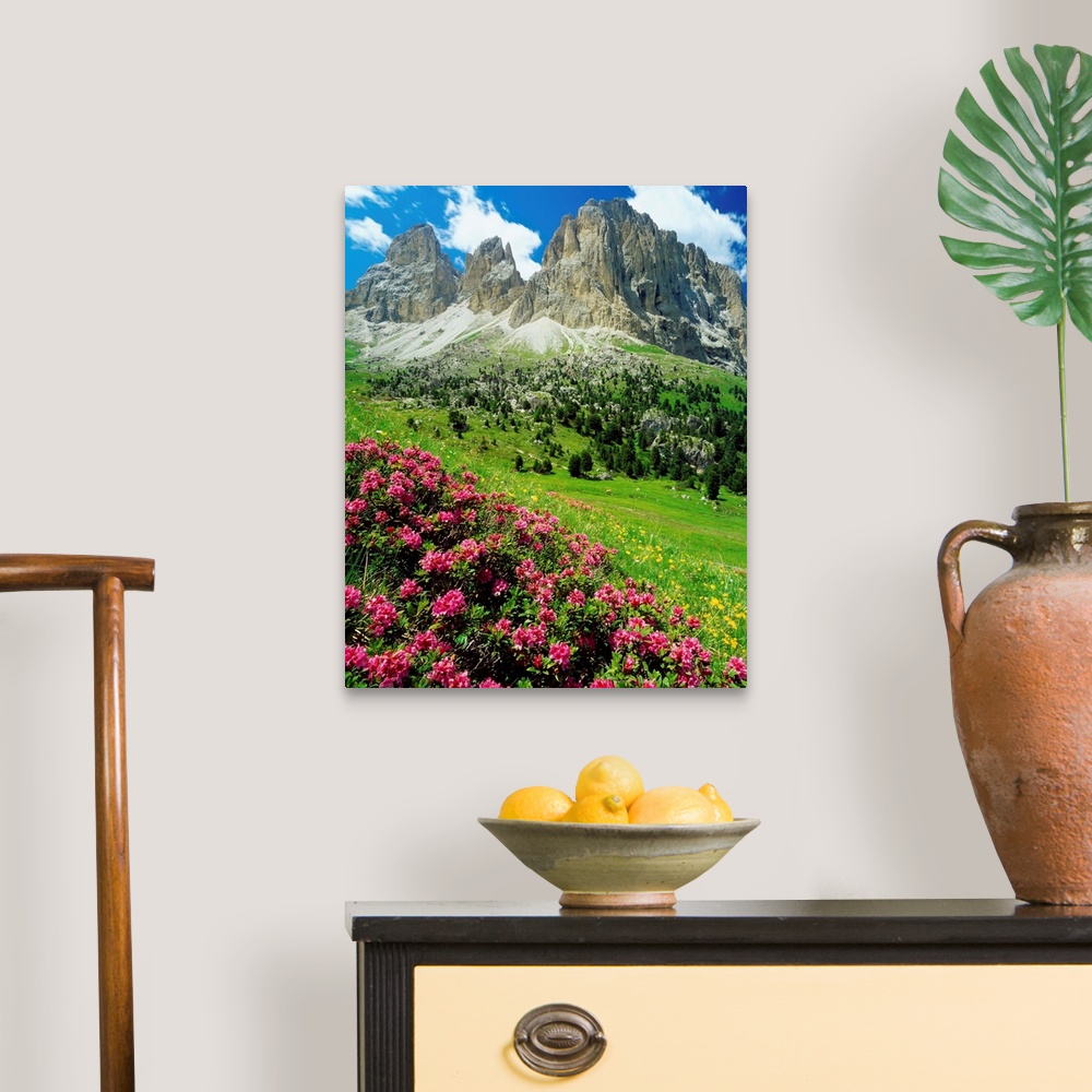 A traditional room featuring Italy, Dolomites, Rhododendron Ferrugineum and Sassolungo (Langkofel)