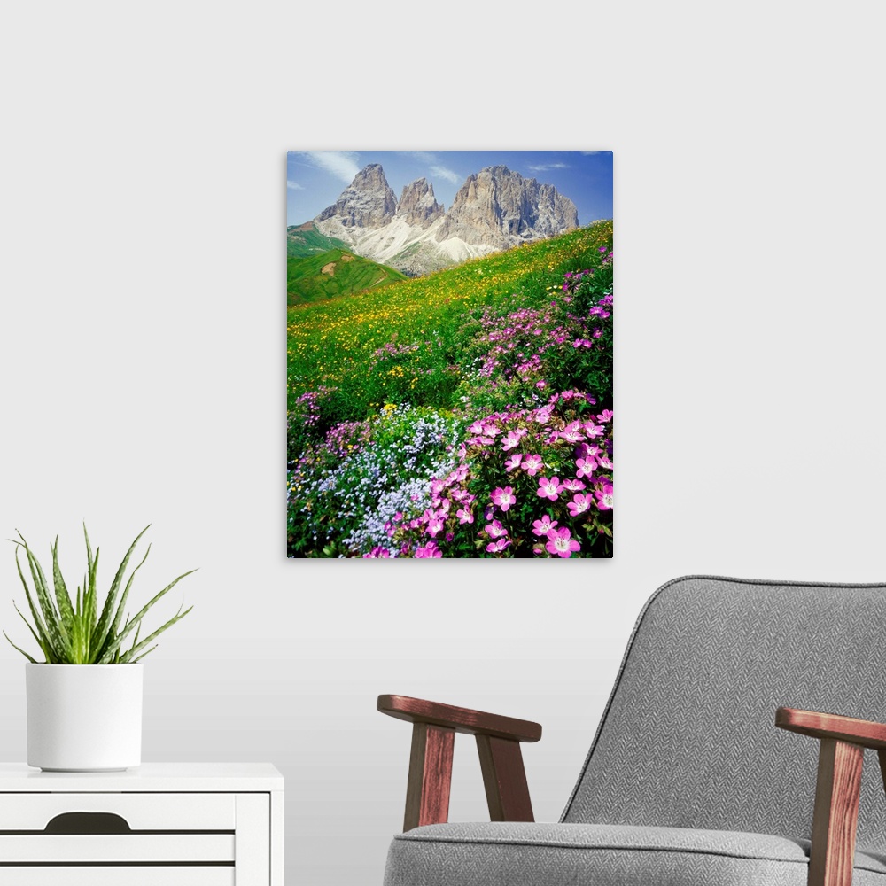 A modern room featuring Italy, Dolomites, Sassolungo, Passo Sella, meadow and Sassolungo