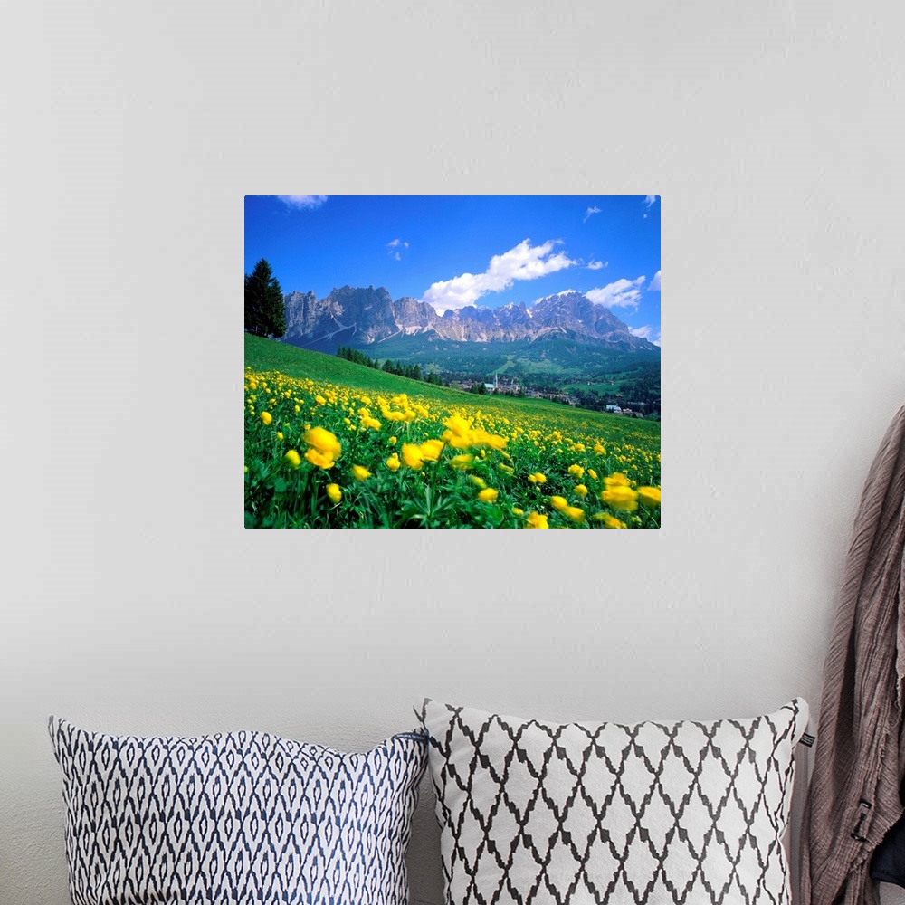 A bohemian room featuring Italy, Dolomites, Trollius meadow towards the Mount Cristallo