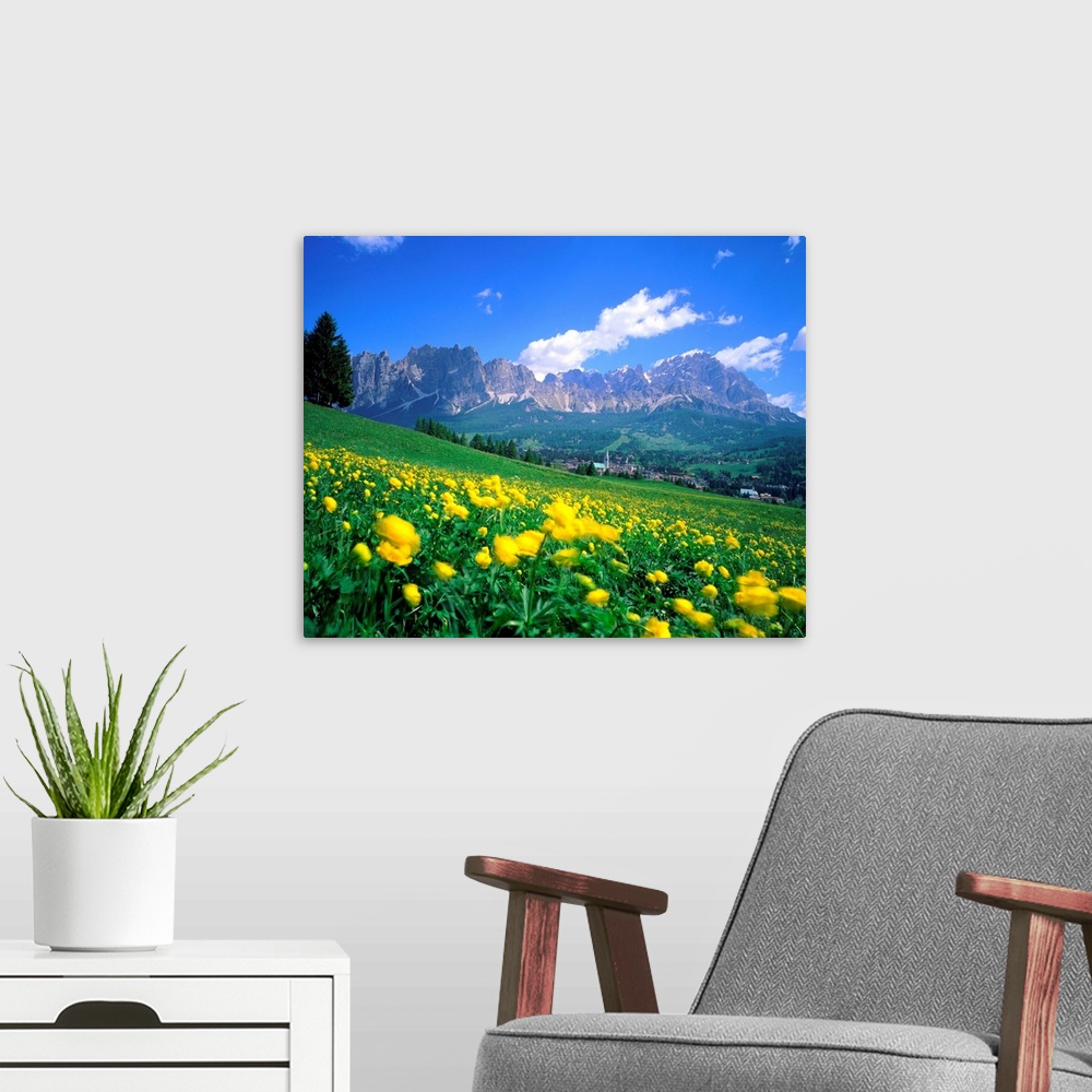 A modern room featuring Italy, Dolomites, Trollius meadow towards the Mount Cristallo